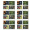 2024 Garden Delights  Forever First Class Postage Stamps