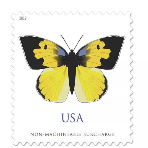 3e6bf7384958014c_3a6f5a9a-cd7e-4dba-a278-ab6e669da410 2019 California Dogface Butterfly Forever First Class Postage Stamps