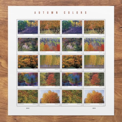 485604-Z0-1 2024 Autumn Colors Stamps Forever First Class Postage Stamps