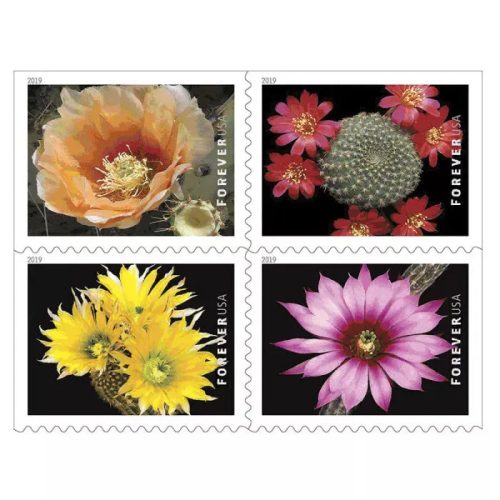 c1335e9fa495fac3_a7ee4b36-6dbd-4379-a3cd-a269aa43b3bd 2019 Cactus Flowers Forever First Class Postage Stamps